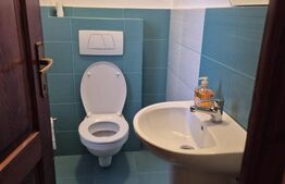 Casa de vanzare in Corunca, ideala pentru 2 familii sau pensiune