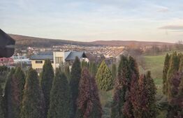 Casa de vanzare in Corunca, ideala pentru 2 familii sau pensiune