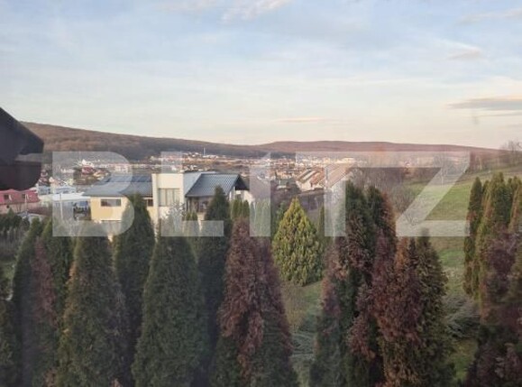 Casa de vânzare 10 camere Corunca - 183794CV | BLITZ Târgu Mureș | Poza5