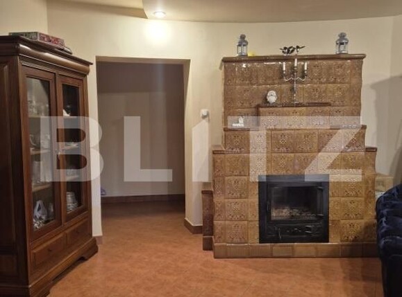 Casa de vânzare 10 camere Corunca - 183794CV | BLITZ Târgu Mureș | Poza14