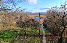 Casa superba cu 15 ari teren situata in Curteni