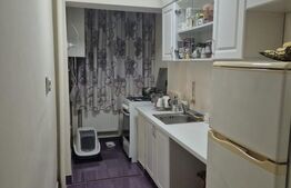 Apartament o camera, zona Tudor