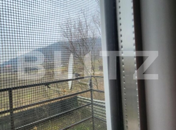 Casa de vânzare 3 camere Tofalău - 183911CV | BLITZ Târgu Mureș | Poza16