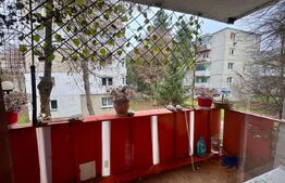 Apartament 2 camere, 48 mp, zona Dambu 