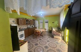 Casă de vânzare în Sângeorgiu de Mureș cu 1.030 m² teren – preț negociabil