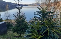 Casa De Vacanta cu vedere la lacul Bezid-OPORTUNITATE 