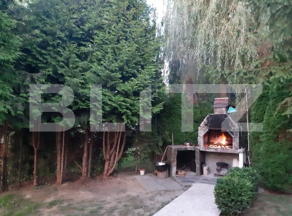 Casa de vânzare 4 camere Sangeorgiu de Padure - 184138CV | BLITZ Târgu Mureș | Poza2