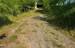 Casa de vanzare in Petrilaca