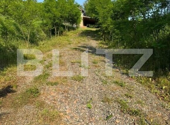 Casa de vânzare 3 camere Petrilaca - 184139CV | BLITZ Târgu Mureș | Poza3