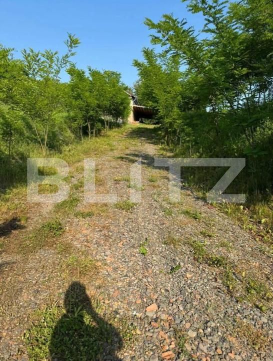 Casa de vânzare 3 camere Petrilaca - 184139CV | BLITZ Târgu Mureș | Poza3