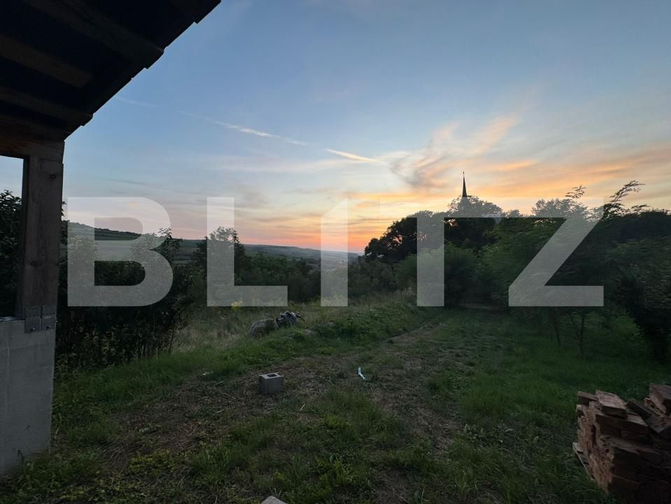Casa de vânzare 3 camere Petrilaca - 184139CV | BLITZ Târgu Mureș | Poza2