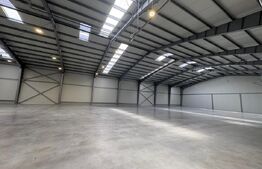 Spații de birouri și hale de producție la 5 min de TArgu Mureș de închiriat 