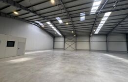 Spații de birouri și hale de producție la 5 min de TArgu Mureș de închiriat 