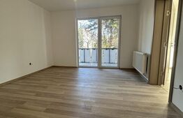 Apartament 2 camere, 38 mp, zona Dâmbul Pietros