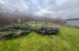 Casă de vânzare – teren 1.960 mp, 250 mp utili, zona Unirii