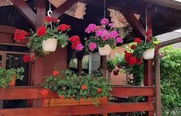 Casa de vanzare, 175 mp, teren 6 ari, zona Unirii