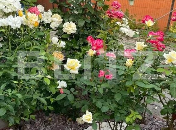 Casa de vânzare 4 camere Unirii - 185360CV | BLITZ Târgu Mureș | Poza10