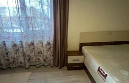 Apartament 2 camere de vânzare pe Strada Măgurei, cartier Dâmbu