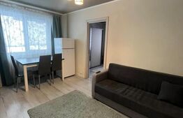 Apartament 2 camere de vânzare pe Strada Măgurei, cartier Dâmbu