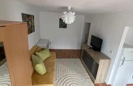 Apartament 1 cameră, 31 mp, zona Central