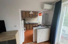 Apartament 1 cameră, 31 mp, zona Central