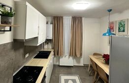 Apartament de închiriat, 47 mp, zona Ultracentrala
