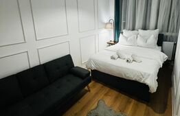 Apartament 1 camera, zona Tudor - CONCEPT 9