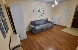 Garsonieră mobilată, 23 mp, zona Mureșeni