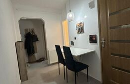 Apartament de închiriat, 48 mp, zona 7 Noiembrie