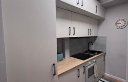 Garsoniera mobilata si utilata, 23 mp, zona Depozite