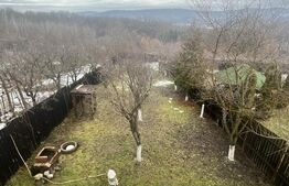 Cabana de lemn- Vatmani