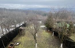 Cabana de lemn- Vatmani