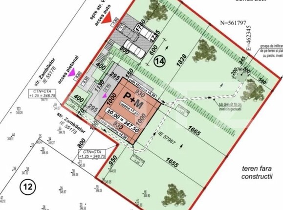 Casa de vânzare 4 camere Sâncraiu de Mureș - 186760CV | BLITZ Târgu Mureș | Poza3