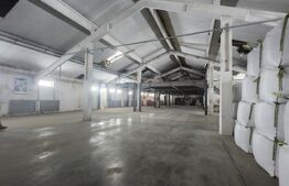 Hală industrială de închiriat – Ungheni | Poziție strategică