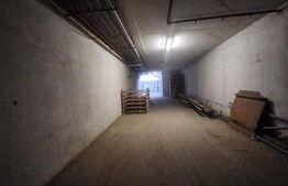 Hală industrială de închiriat – Ungheni | Poziție strategică