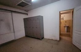 Hală industrială de închiriat – Ungheni | Poziție strategică