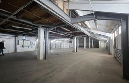 Hală industrială de închiriat – Ungheni | Poziție strategică