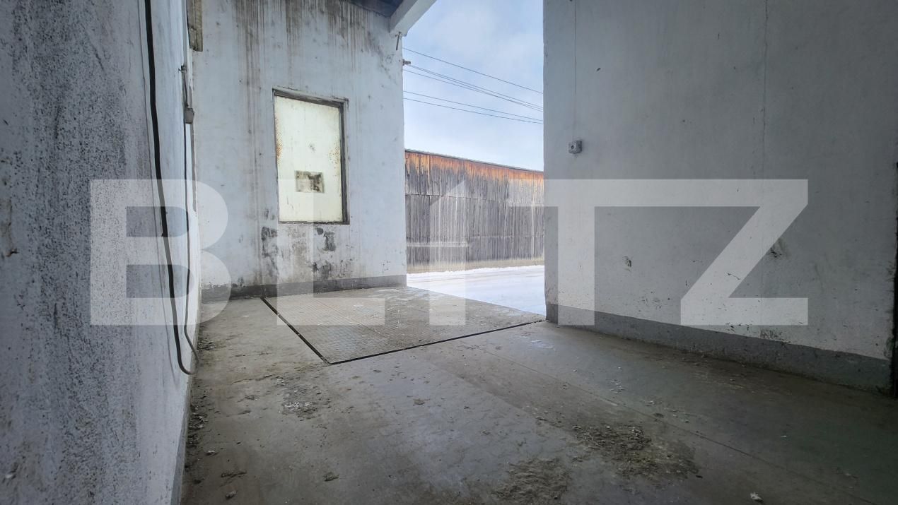 Spațiu industrial de închiriat Ungheni - 186875SII | BLITZ Târgu Mureș | Poza4