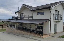 Casa superba in Ludus, 320mp! 