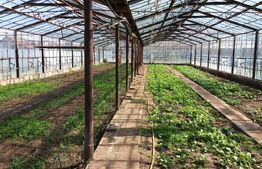 Casa superba in Reghin, 265mp! 