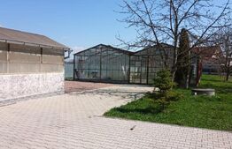 Casa superba in Reghin, 265mp! 