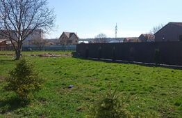 Casa superba in Reghin, 265mp! 