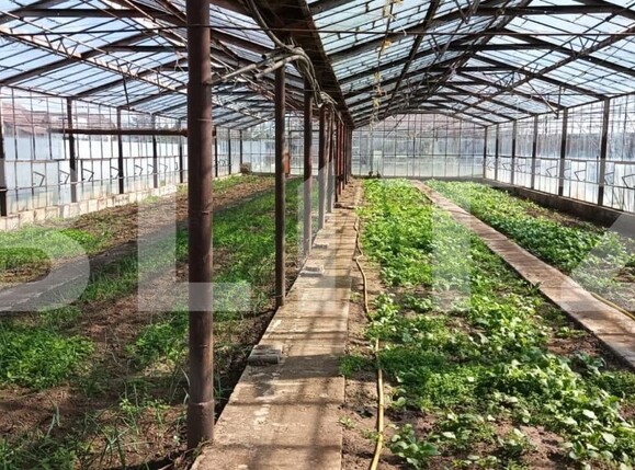 Casa de vânzare 8 camere Reghin - 186911CV | BLITZ Târgu Mureș | Poza22