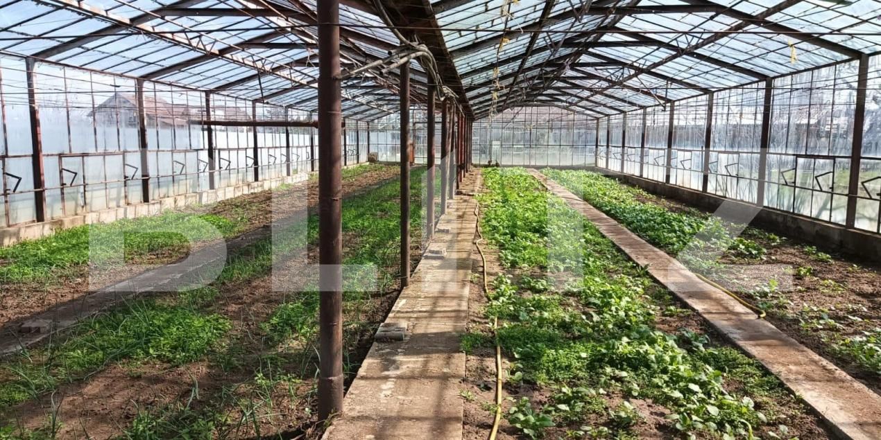 Casa de vânzare 8 camere Reghin - 186911CV | BLITZ Târgu Mureș | Poza22