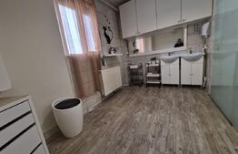 Apartament 1 camera, 27 mp, zona Tudor