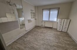 Apartament 1 camera, 27 mp, zona Tudor