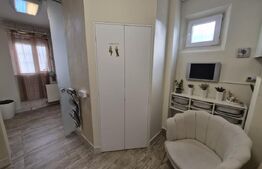 Apartament 1 camera, 27 mp, zona Tudor