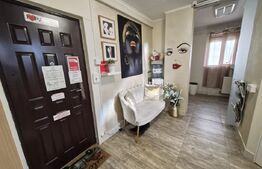 Apartament 1 camera, 27 mp, zona Tudor