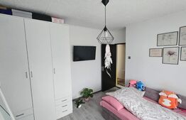 Apartament 2 camere, zona Tudor Vladimirescu