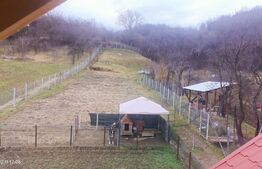 Casă cochetă cu priveliște panoramică și grădină generoasă – Lângă Pădure 